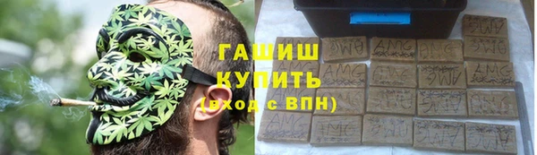 индика Алзамай
