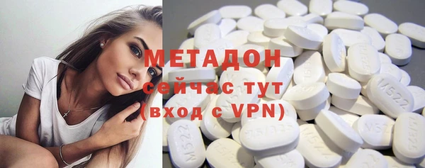 индика Алзамай