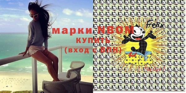 индика Алзамай