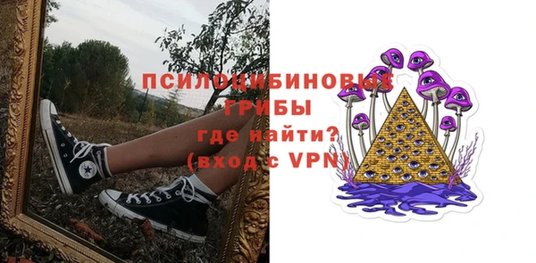 индика Алзамай