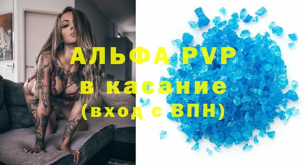 индика Алзамай