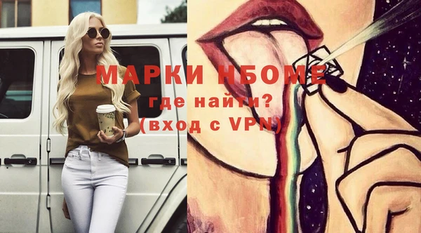 индика Алзамай