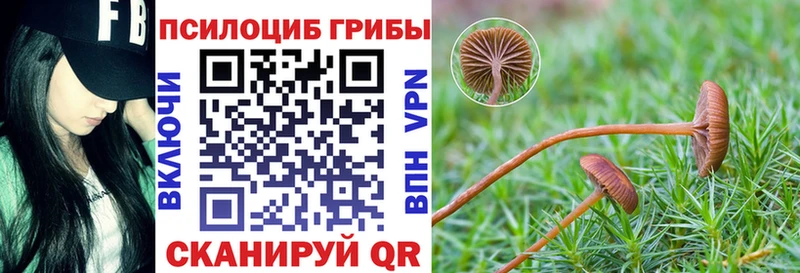 Галлюциногенные грибы прущие грибы  дарнет шоп  Красновишерск 